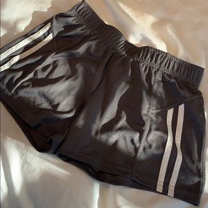 Champion Shorts